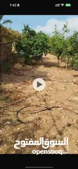  10 أرض زراعية او سكنية للبيع 2 دونم و 580 متر