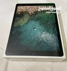  1 iPad Pro (12.9)inch 256GB