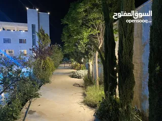  26 فيلا فخمه للايجار اليومي