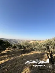  11 قطعة ارض للبيع ( الإطلالة الأجمل في منطقة بيرين)  واصل جميع الخدمات ( على قمة ام رمانة )