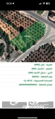  1 ارض في بدر الجديدة ( بلال ) على الشارع الرئيسي مميزة 4 دونم و13 متر للبيع من المالك مباشرة.