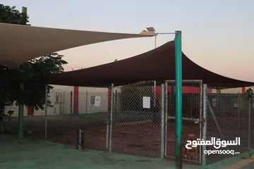  10 جولدن ريتريفر Golden retriever