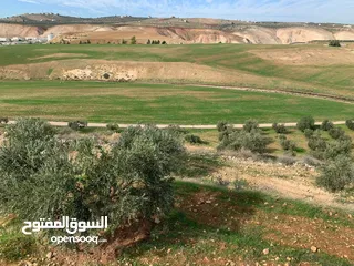  2 ارض للبيع10دنومات