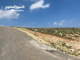  15 قطعة ارض للبيع ( منطقة فلل وقصور )واصل جميع الخدمات ( على قمة بيرين )