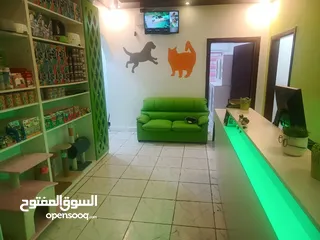  10 عيادة بيطريه كامله للايجار