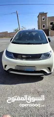 1 BYD 2023 دولفين