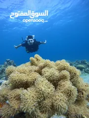  1 بدلة اديداس من الوكالة حالة وكالة