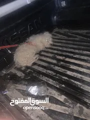  1 تيرر للبيع 