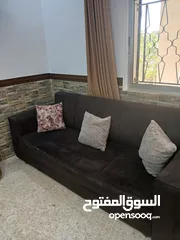  1 كنابيات بحالة جيدة