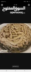  28 كرشات وفوارغ على كيفك كيفك