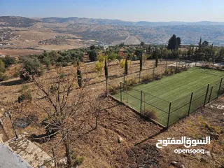  17 Farm for sale