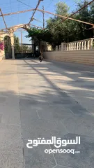  6 اميريكان بولي بوكت