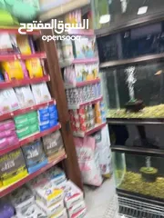  4 فرشات عروض من الآخر