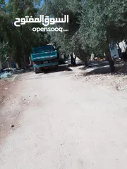  4 ارض مستقله
