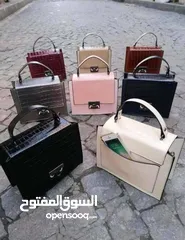  12 شروة شناتي
