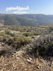  1 ارض مميزة للبيع في تلال عبوين وسنجل (تلال غرابة)