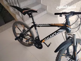  2 2024GALANIT