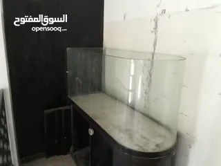  1 حوض سمك للبيع