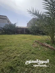  3 بستان للبيع قرب جسر السراجي