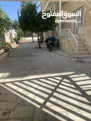  24 منزل للإيجار استثماري اوسكني