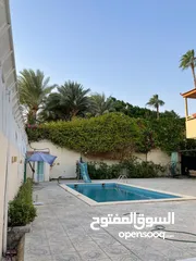  1 شاليه للبيع بالاغوار الجنوبيه مفروش كامل