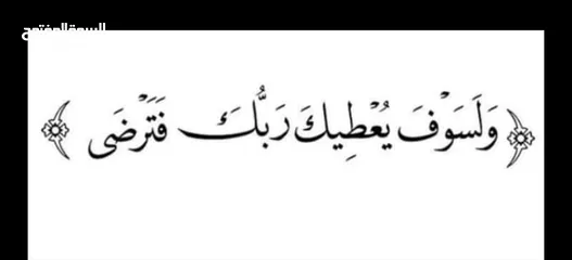  1 4دجاجات للبيع كله شغال بيضات