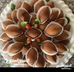  6 خروف مشوي او محشي او محشي ورق عنب دوالي