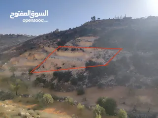  1 ارض للبيع 1000 متر طابو ابو نجيم