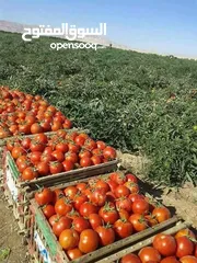 3 سوبرماركت للبيع