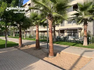  3 شقة للبيع 207 م باقل سعر في السوق بكمبوند Palm Hills Capital Gardens