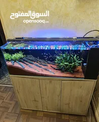  1 حوض سمك مع co2