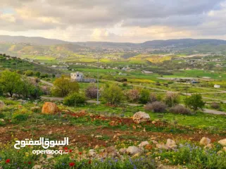  4 مشروع القمة -  النصارية