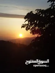  8 مزرعة شالية