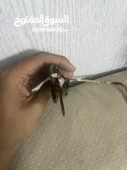  8 نضارات ماركا بحال الوكاله للبيع باسعار مغريه جداً انته بس فوت نقي وادفع بخق الله وشيل