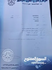  10 سوناتا2008  الدب