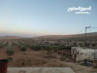 18 مزرعة مع بيت للبيع