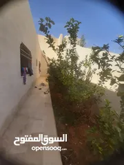  8 منزل في إسكان الكهرباء قرب مسجد عثمان بن مضعون