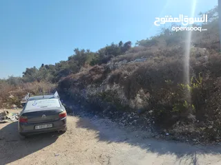  3 حصة في منطقة المشتل