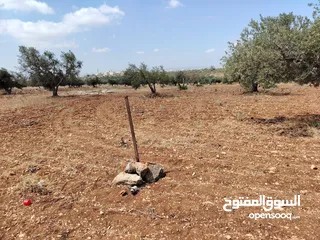  4 قطعة أرض بكوشان مستقل