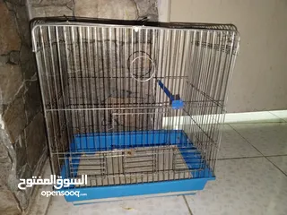  1 قفص مع بطتين   للبيع المستعجل