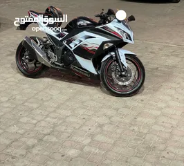  6 NINJA 300 ABS