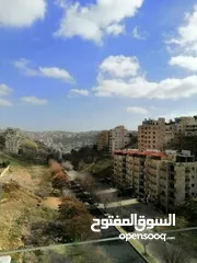  11 Duplex with Rooftop Apartment in Abdoun for Rent