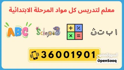  1 معلم لكل المواد للمرحلة الابتدائية