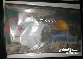  4 بيع وشراء كدر برواز في ولاية وهران بمختلف اشكالها والوانها
