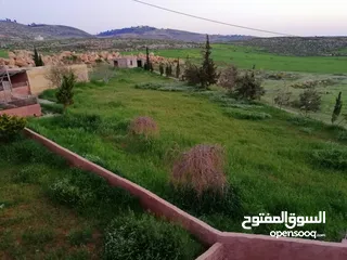  24 مزرعة مميزة ناعور المشقر