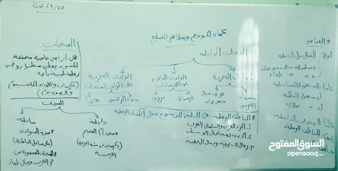  9 معلم دراسات اجتماعية وجغرافيا وتاريخ