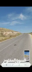  2 ارض للبيع 10 دونمات واجه 100 متر على شارع 20 معبد تبعد عن اشاره بلعما 1500 متر