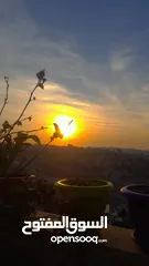  4 منزل للبيع بسعر مغري