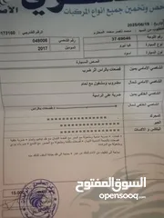  6 كيا نيرو فل كامل تورينج