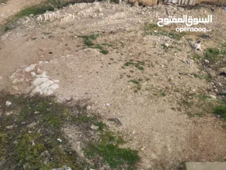  1 فارس محمد خضير